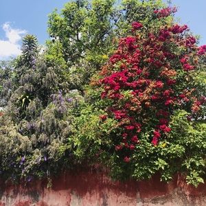 Meet your Posher, Iman